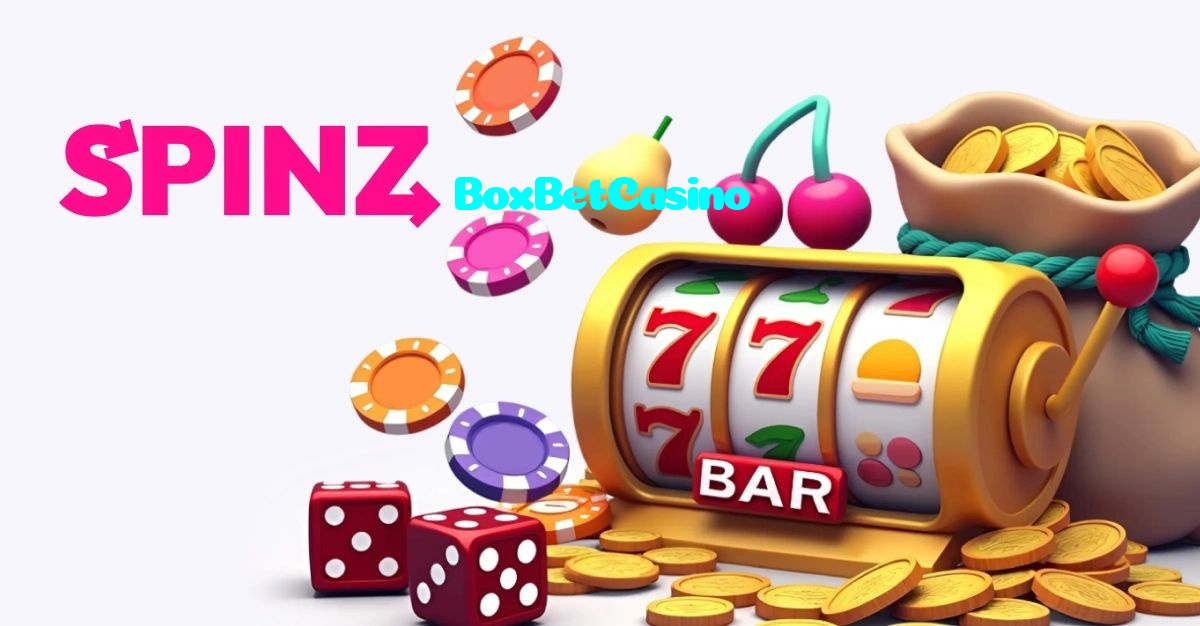 available types of BoxBetCasino bet including pre-match live express and system bets